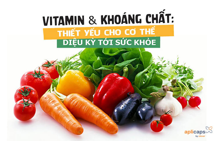 vitamin-va-khoang-chat