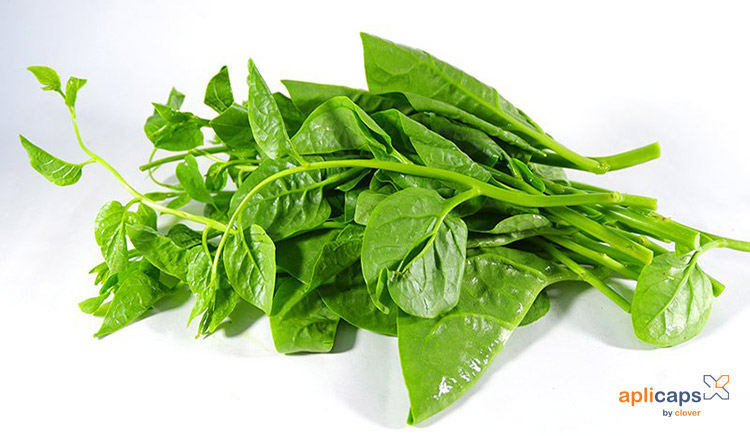 thai-26-tuan-an-mong-toi