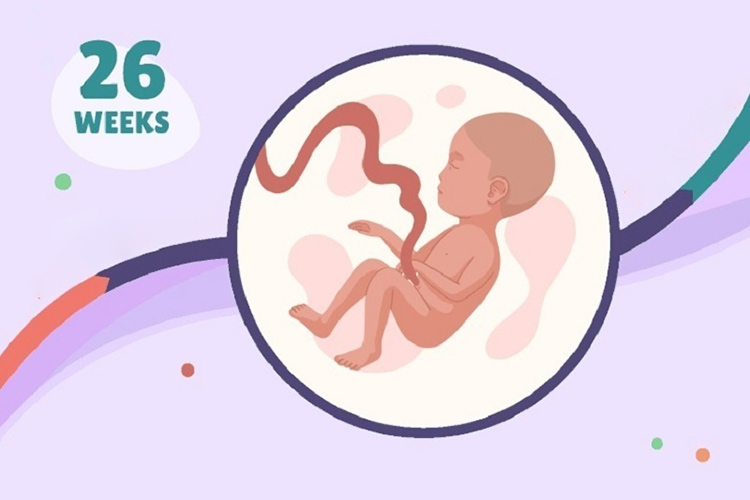 thai-26-tuan-phat-trien-the-nao