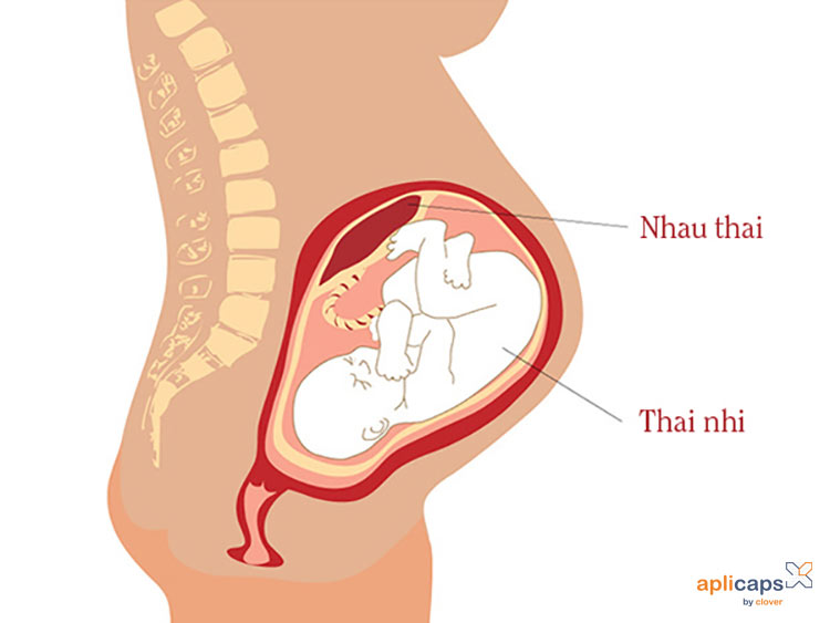 thai-37-tuan-do-truong-thanh-3