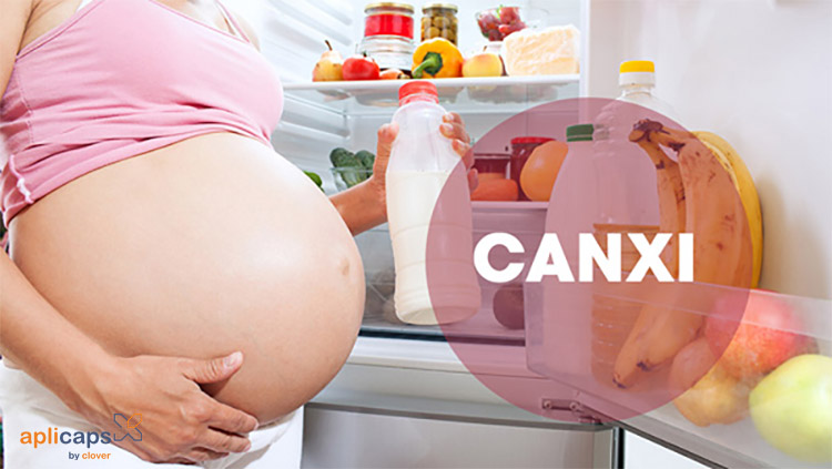 Canxi đóng vai trò vô cùng quan trọng đối với sự phát triển của thai nhi.