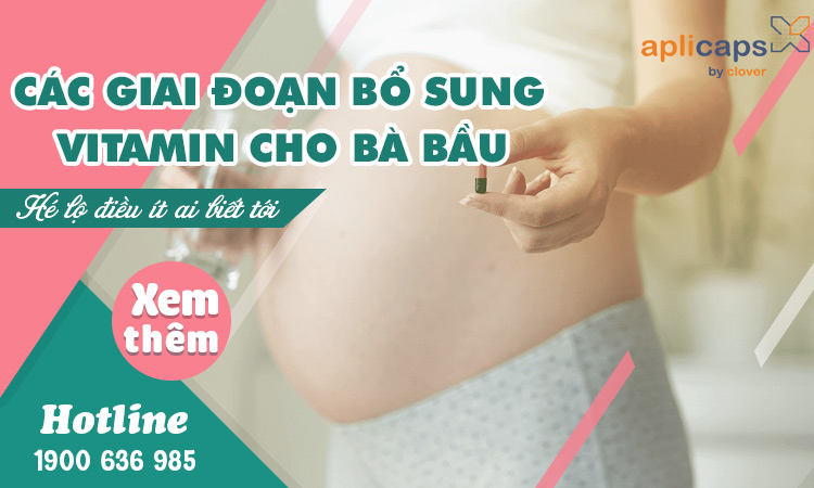 cac-giai-doan-bo-sung-vitamin-cho-ba-bau