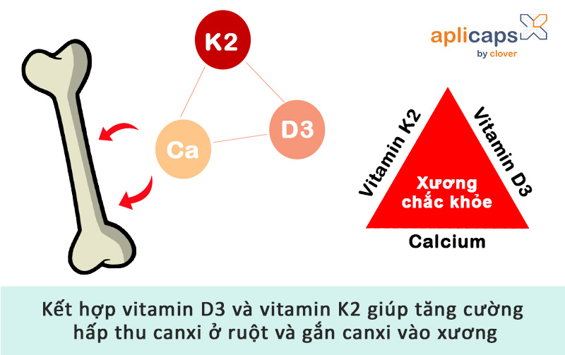 Kết hợp vitamin D3 và vitamin K2 giúp tối ưu hấp thu canxi