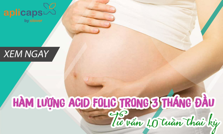 hàm lượng acid folic trong 3 tháng đầu thai kỳ