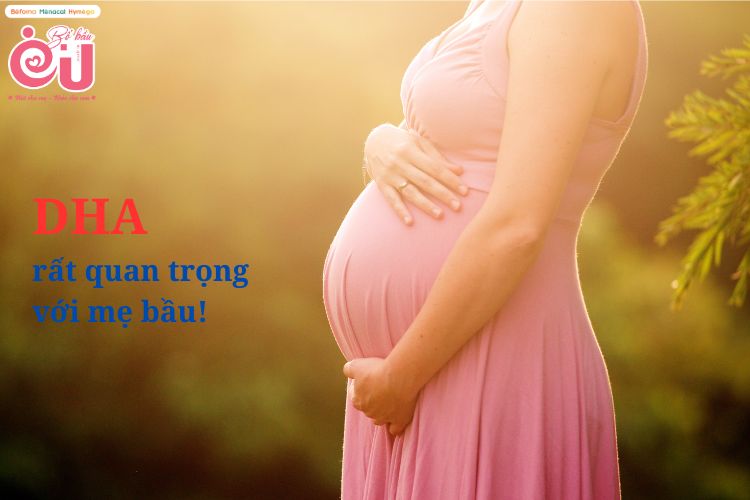 DHA bà bầu nên bổ sung từ khi bắt đầu mang thai để có một nền tảng dinh dưỡng tốt nhất