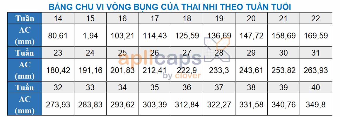 Chu vi vòng bụng của thai nhi theo tuần tuổi