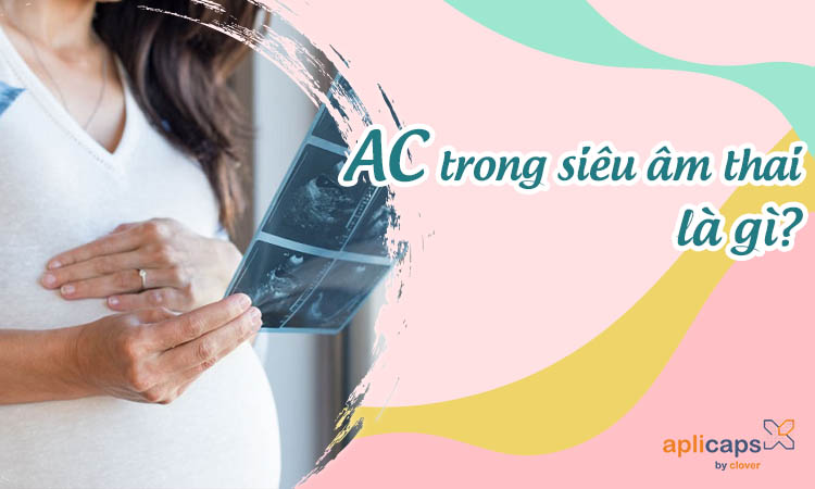 AC trong siêu âm thai là gì