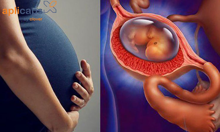 Cách dưỡng thai khi bị bóc tách