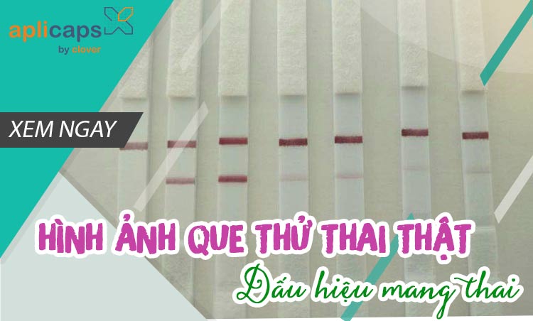 Top 45 Những Hình Ảnh Quê Hương Việt Nam Đẹp Nhất