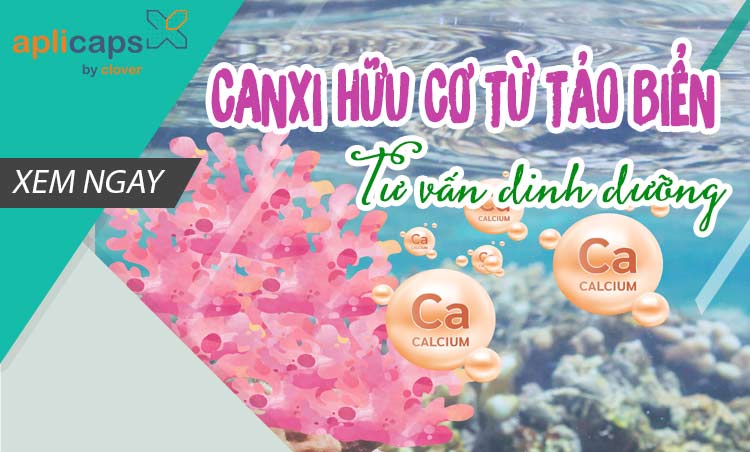 canxi hữu cơ từ tảo biển