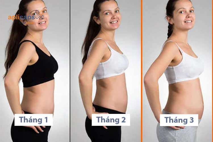 Sự thay đổi kích thước bụng bầu trong 3 tháng đầu thai kỳ