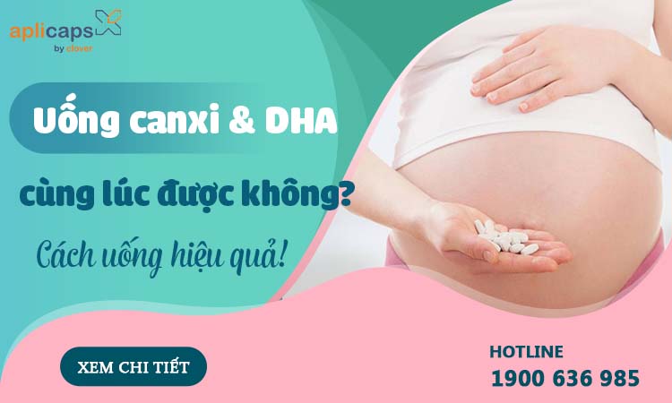 Canxi và DHA đóng góp hàng đầu vào sự phát triển của thai nhi