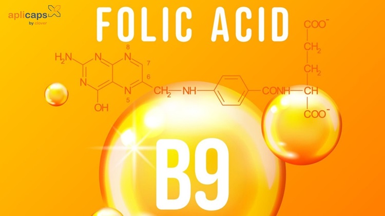 Acid Folic hay vitamin B9 là một chất thuộc nhóm vitamin B