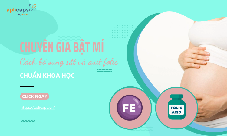 Chuyên gia bật mí cách bổ sung sắt và acid folic cho bà bầu chuẩn khoa học