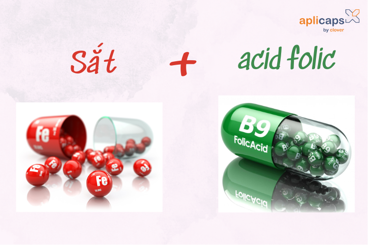 Sắt và acid folic có vai trò quan trọng