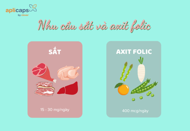 Nhu cầu bổ sung sắt và axit folic với mẹ bầu