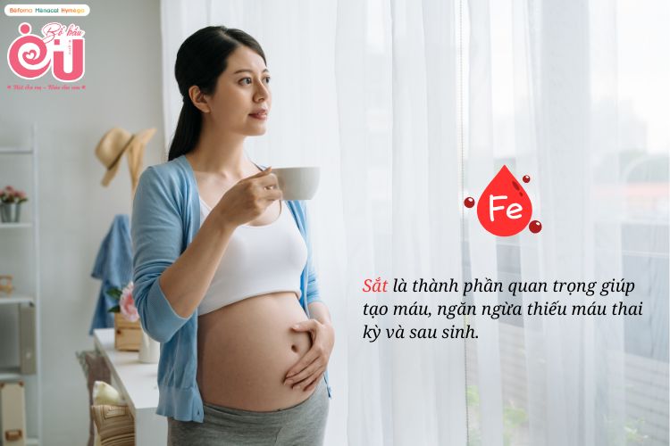 Sắt là thành phần quan trọng giúp tạo máu