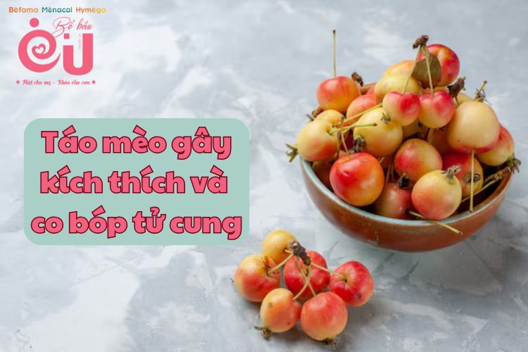 Táo mèo gây co thắt, kích thích tử cung