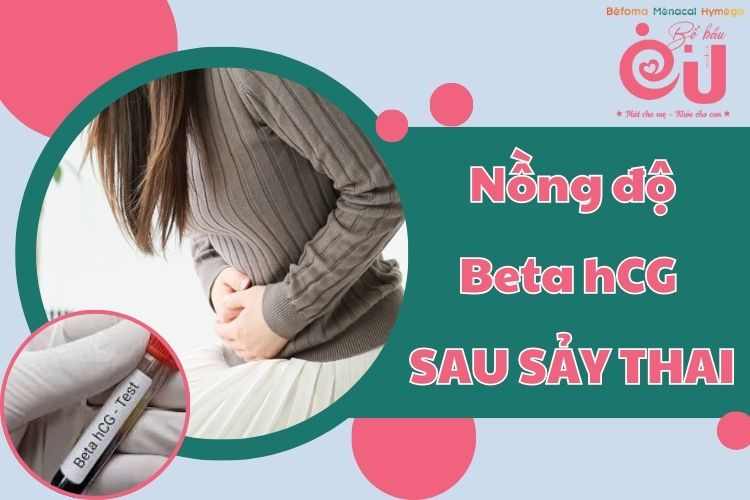 nong-do-beta-hcg-sau-say-thai