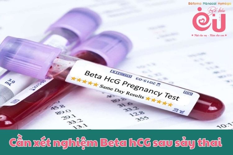 Việc theo dõi Beta hCG sau sảy thai là cần thiết