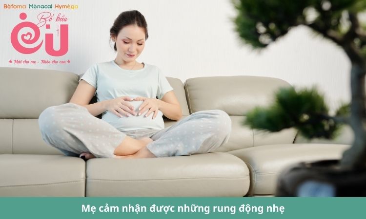 Mẹ cảm nhận được những cử động nhẹ khi thai nhi được 4 tháng tuổi.