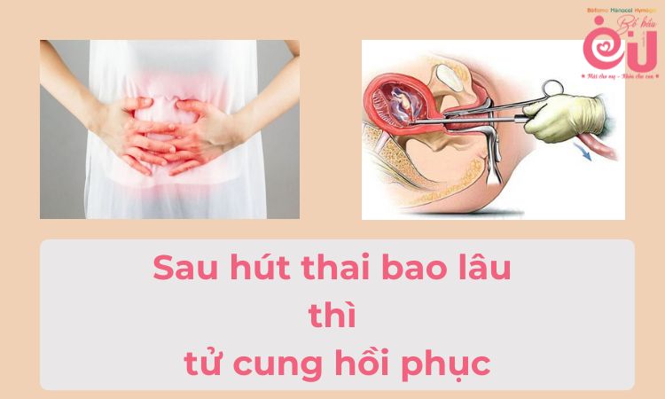 Sau hút thai bao lâu thì tử cung hồi phục