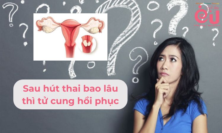 Thời gian tử cung hồi phục trung bình từ 4-6 tuần.