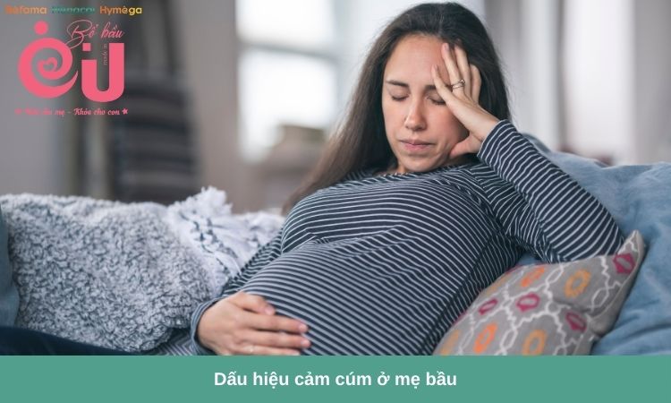 Bà bầu bị cảm cúm thường cảm thấy mệt mỏi, khó chịu