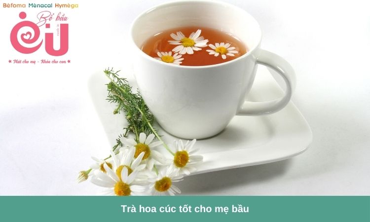 Trà hoa cúc hỗ trợ đẩy lùi cảm cúm ở bà bầu