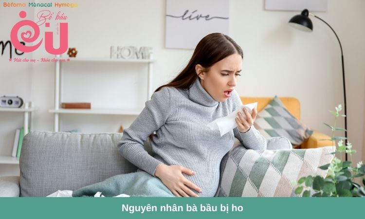 Phụ nữ mang thai thường bị ho do nhiều nguyên nhân khác nhau. 