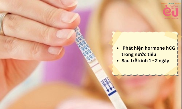 Cách kiểm chứng việc mang thai khi đau đầu ti