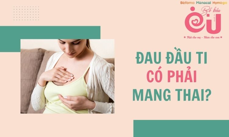 dau-dau-ti-co-phai-mang-thai