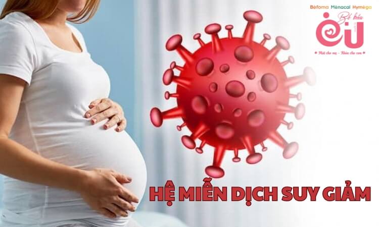 Khi mang thai hệ miễn dịch bị suy yếu
